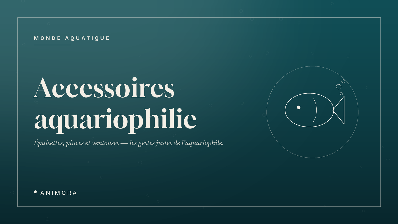 Accessoires aquariophilie | Animora