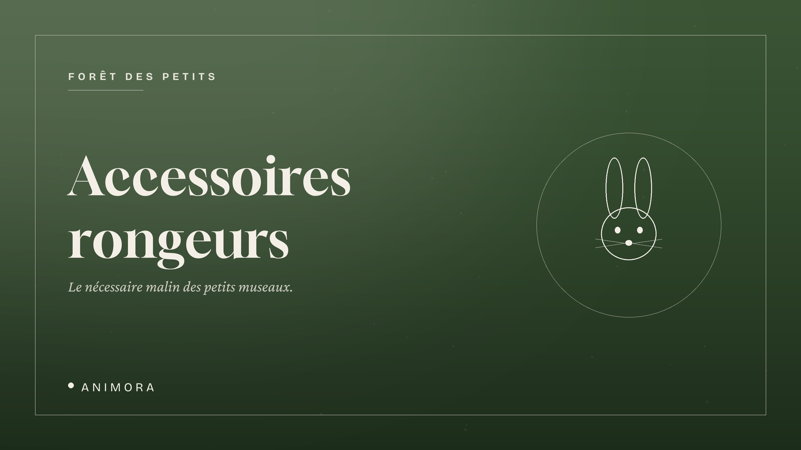 Accessoires rongeurs | Animora
