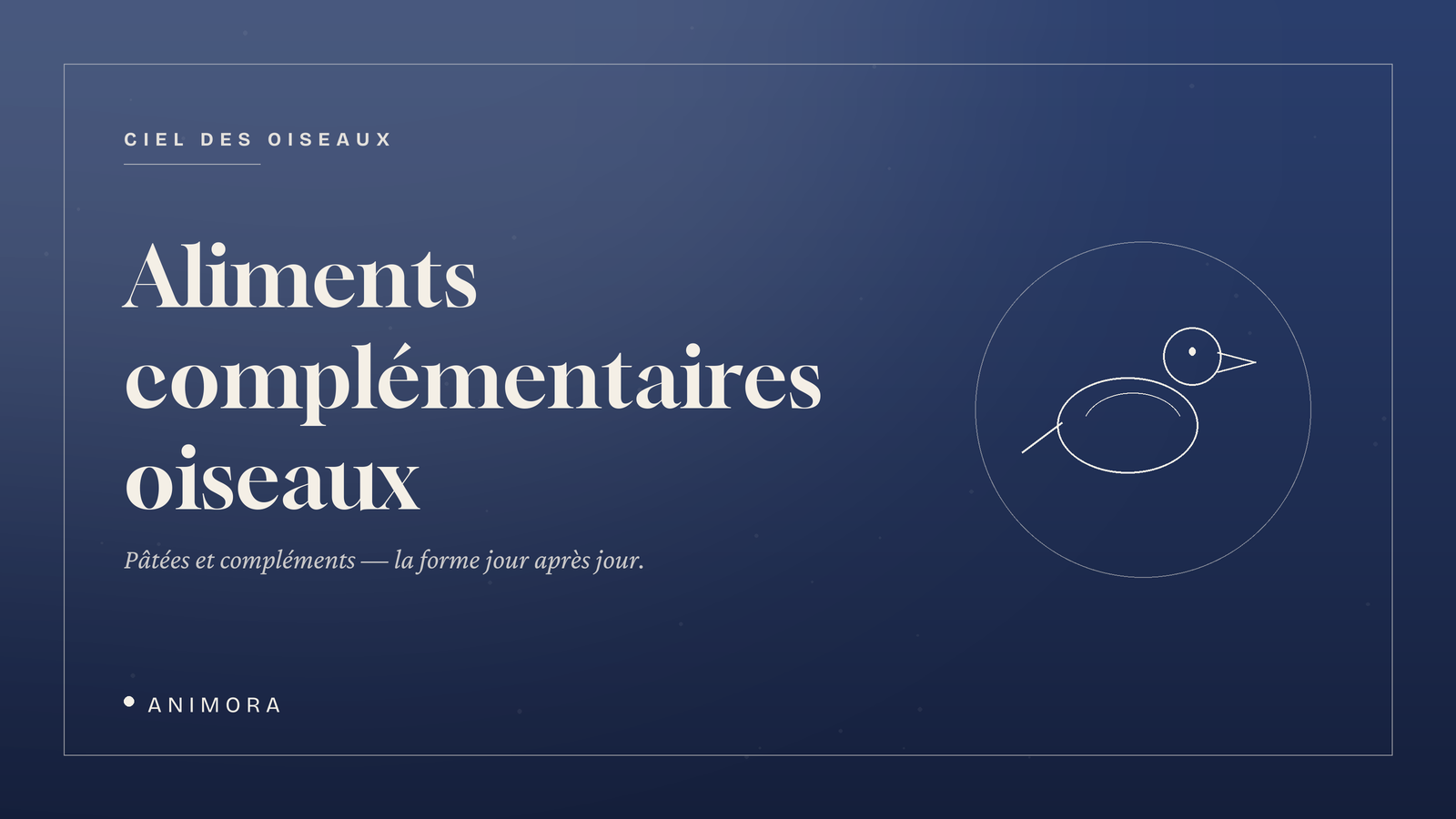 Aliments complémentaires oiseaux | Animora