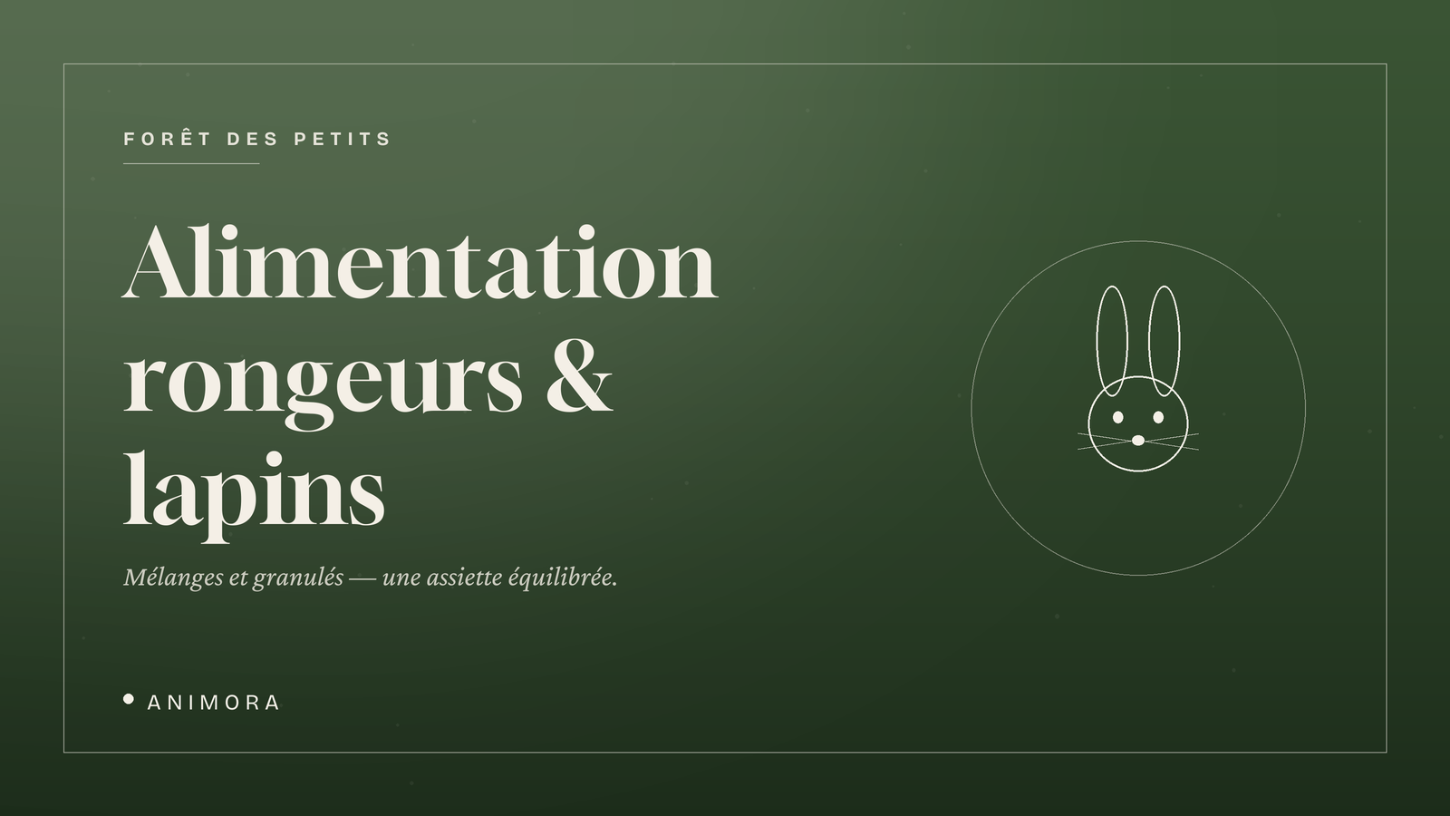 Alimentation rongeurs & lapins | Animora