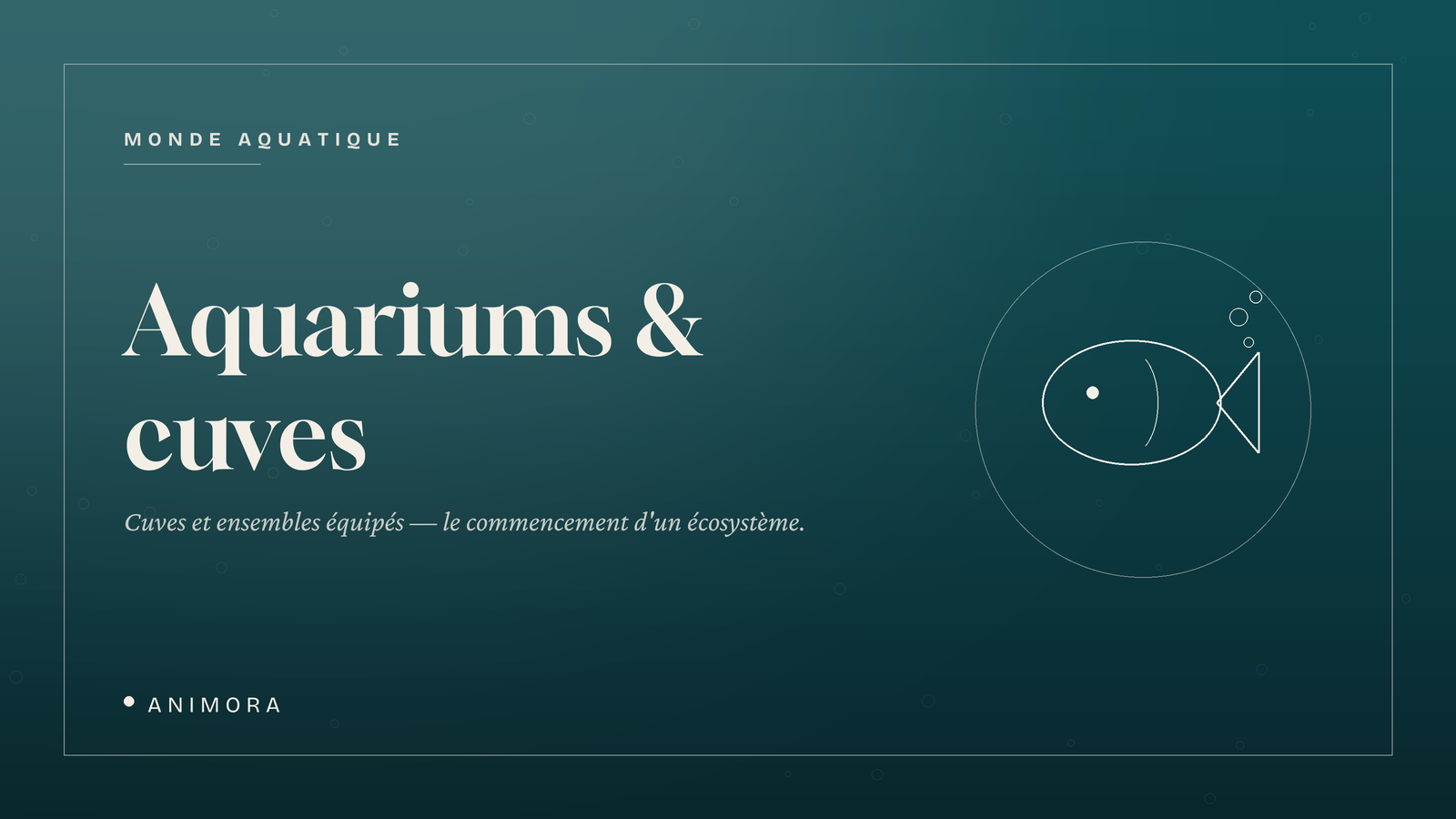 Aquariums & cuves | Animora