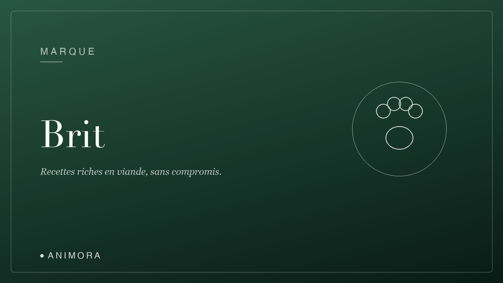 Couverture Brit — Animora