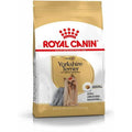 ROYAL CANIN Yorkshire Terrier Adult