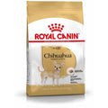 ROYAL CANIN Chihuahua Adult Croquettes pour Chien Adulte Chihuahua