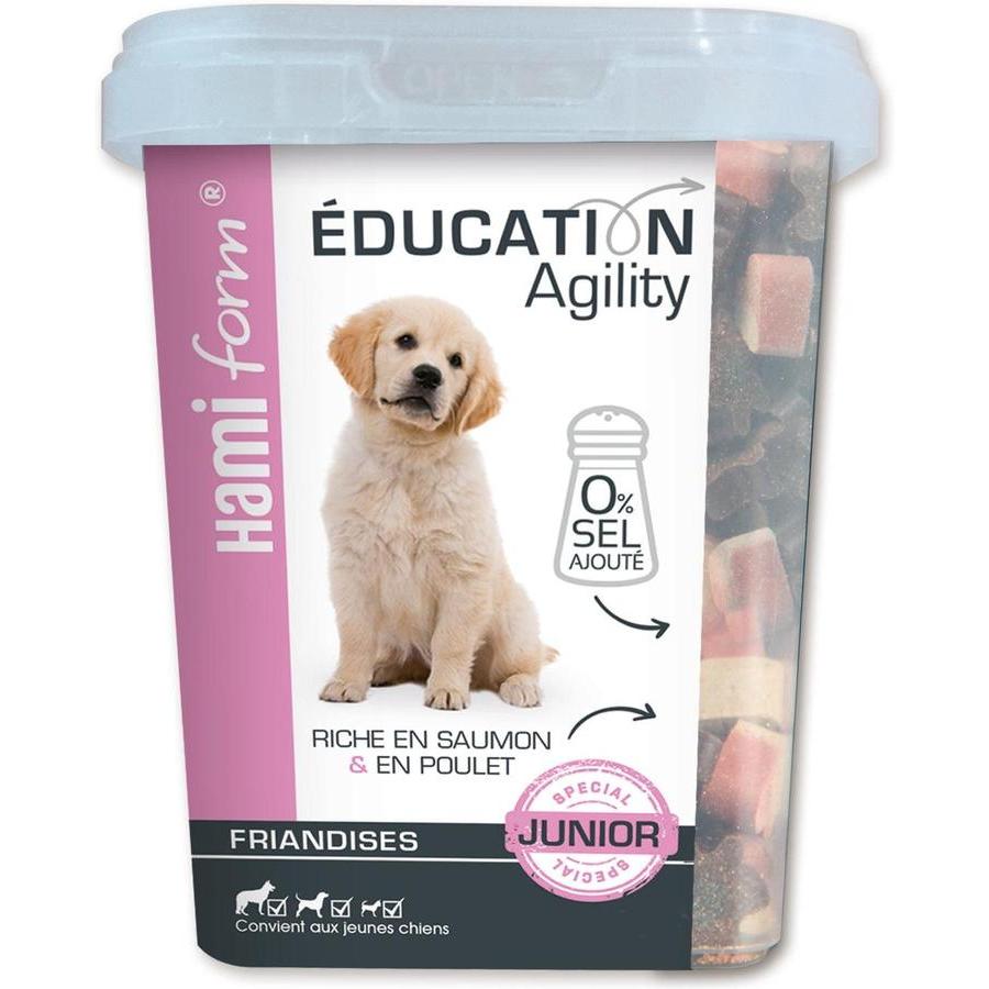 HAMIFORM H/F Friandise Education Medium Saumon et Levure de Bière 260g