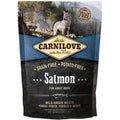 CARNILOVE Adult Saumon