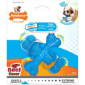 NYLABONE Jouet Chiot Saveur Bœuf Nylon Souple Résistant XS