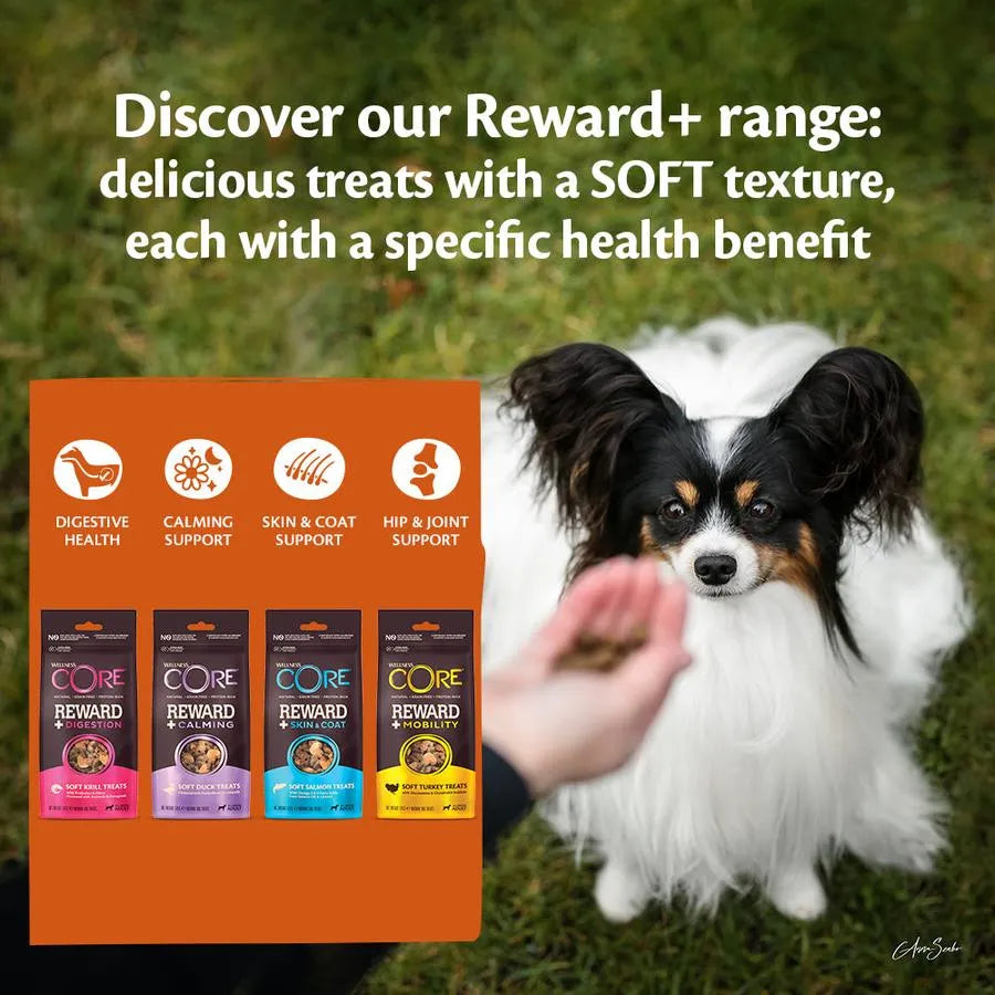 Reward+ Calmant – Canard Sans Céréales (170 g)