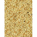 Bird-x Millet rond blanc Graines pour Oiseaux 1kg