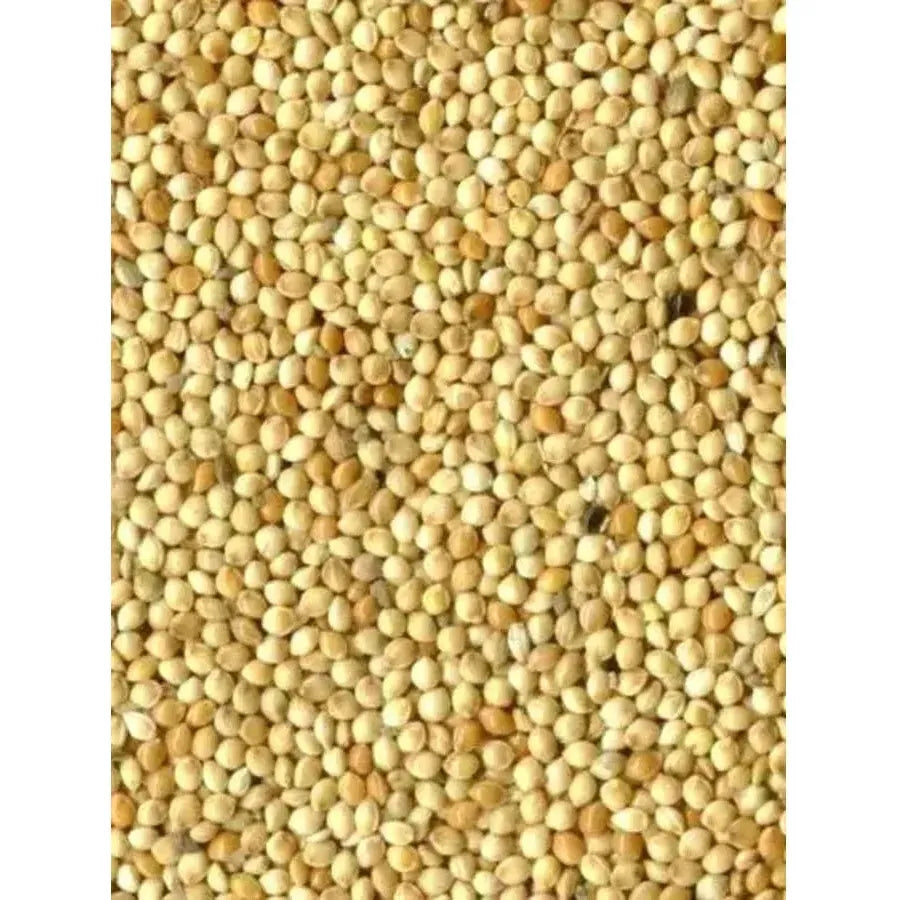 Bird-x Millet rond blanc Graines pour Oiseaux 1kg