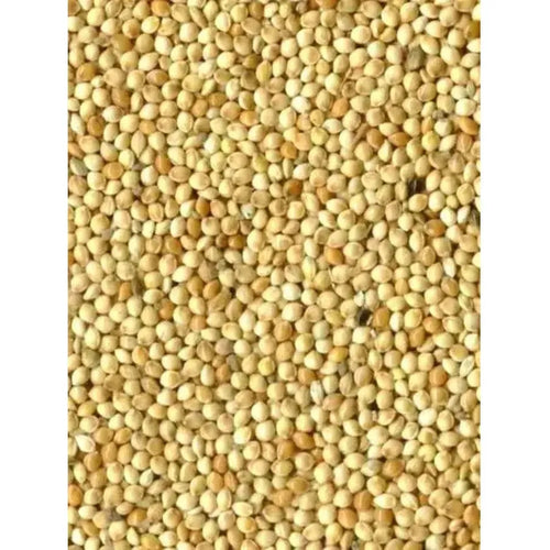 Bird-x Millet rond blanc Graines pour Oiseaux 1kg