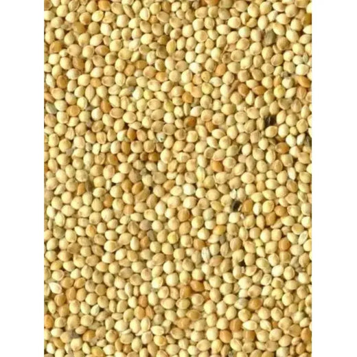 Bird-x Millet rond blanc Graines pour Oiseaux 1kg