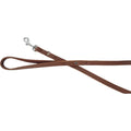 Laisse en Cuir Aloké pour Chien S beige