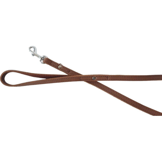 Laisse en Cuir Aloké pour Chien S beige