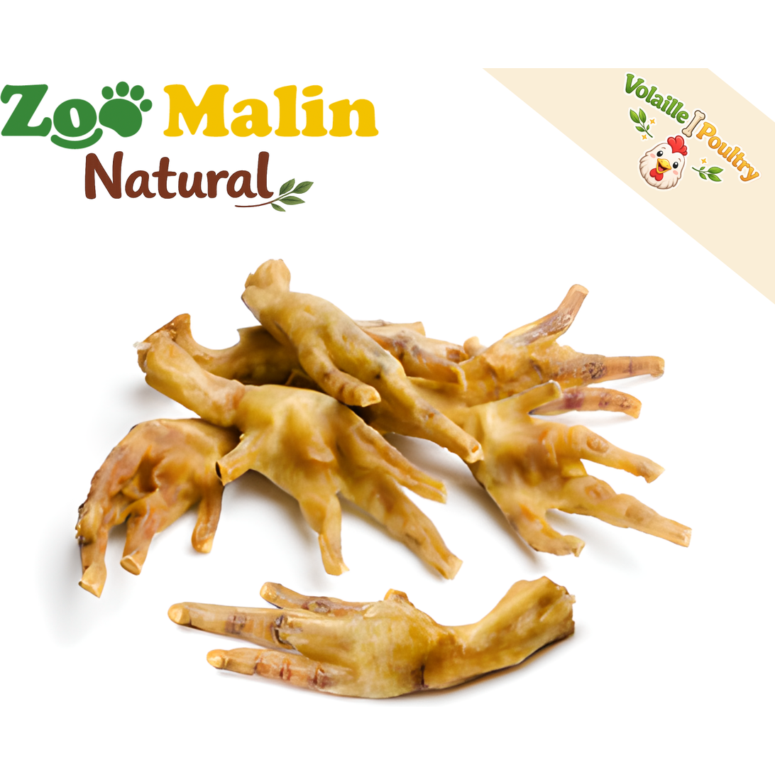 Pattes de Poulet Séchées – Naturelles