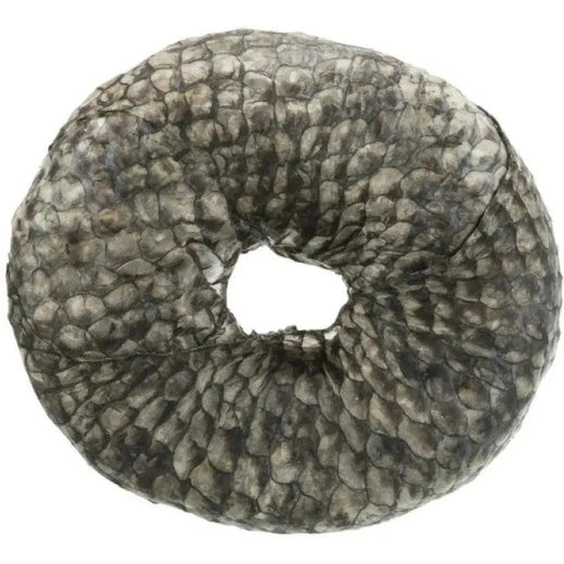 Anneau Dentaire au Poisson – 10 cm