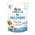 BRIT Recovery 150g