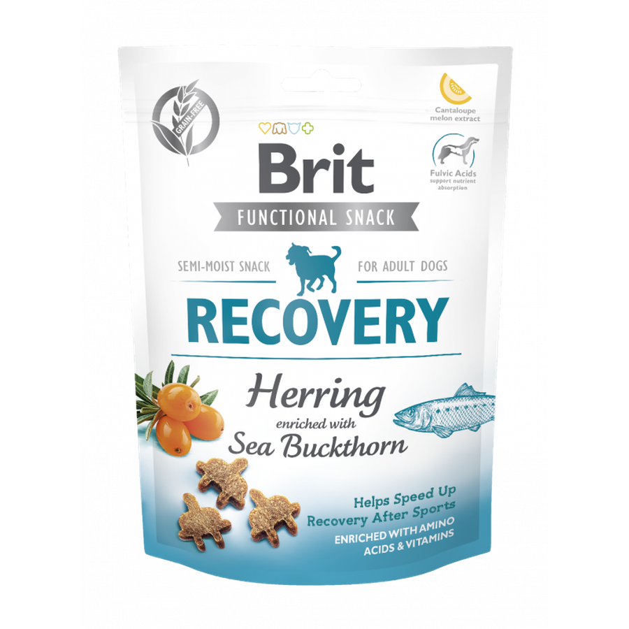 BRIT Recovery 150g