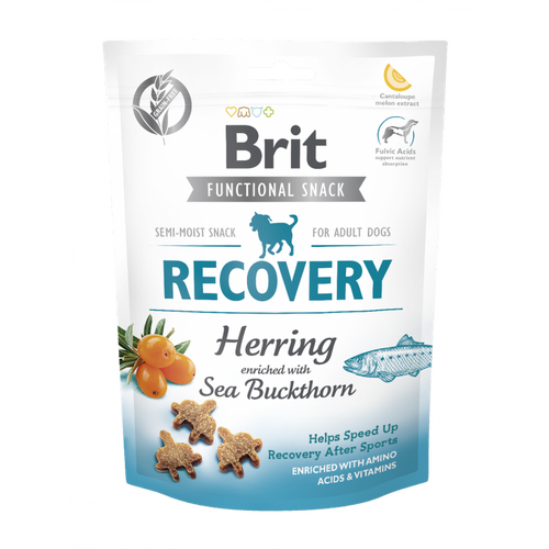 BRIT Recovery 150g