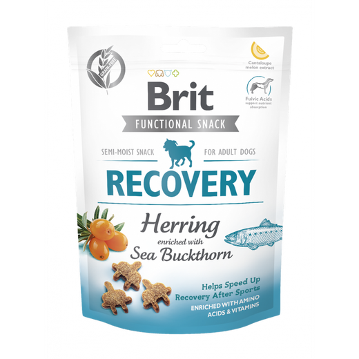 BRIT Recovery 150g