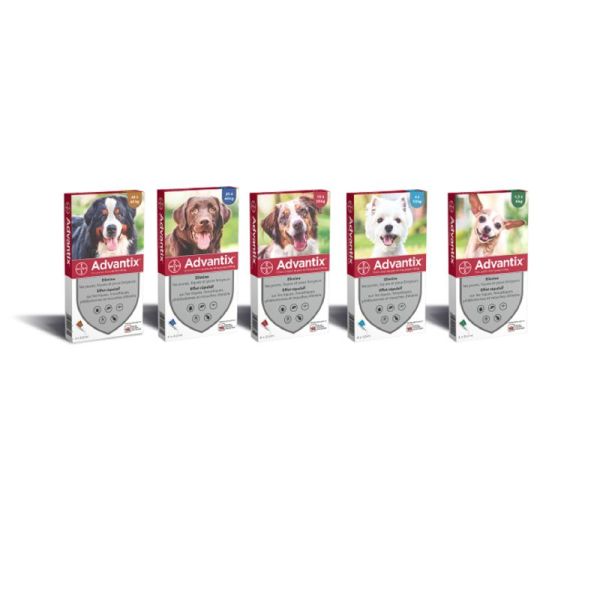 BAYER Advantix Pipettes Antiparasitaires Chien 4-10kg 4 Pipettes