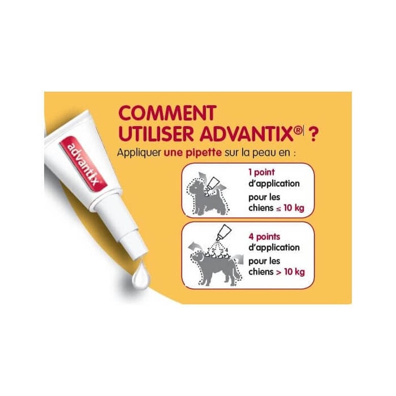 ELANCO Advantix Pipettes Antiparasitaires Grand Chien 25-40kg 6x4ml