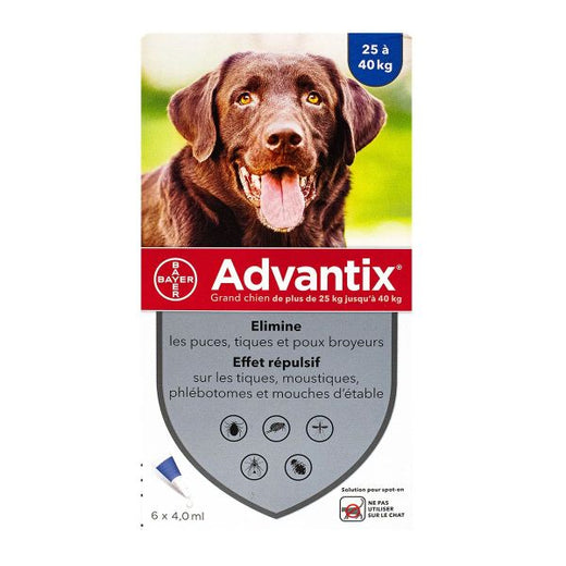 ELANCO Advantix Pipettes Antiparasitaires Grand Chien 25-40kg 6x4ml
