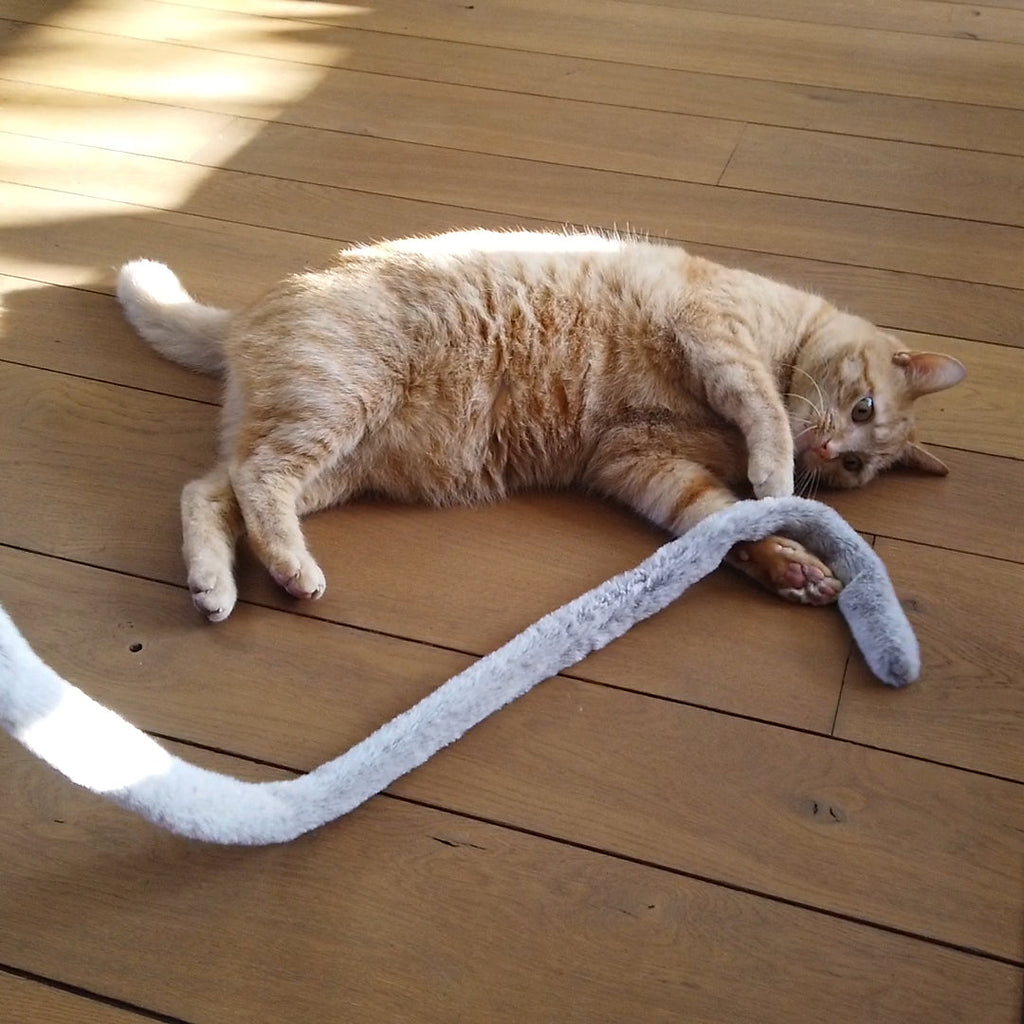 LAROY Canne à Pêche Nature pour Chats avec Herbe à Chat Naturelle