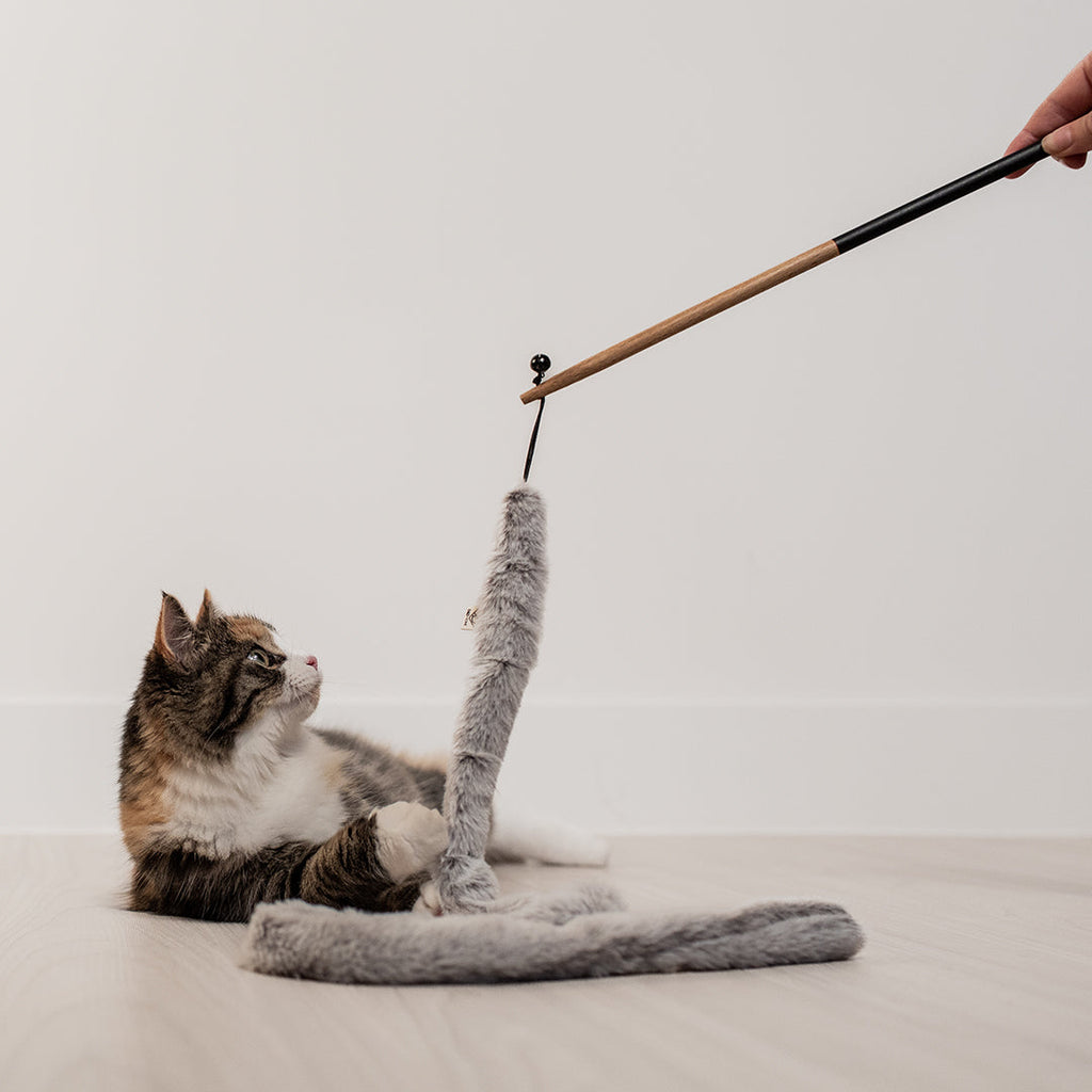 LAROY Canne à Pêche Nature pour Chats avec Herbe à Chat Naturelle