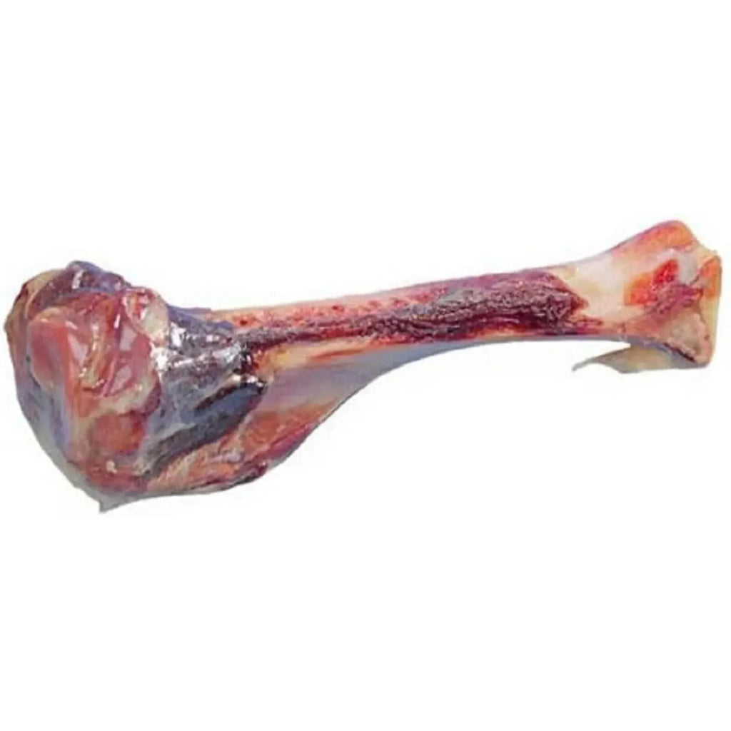 Os de Jambon Italien – 16 cm (x3)