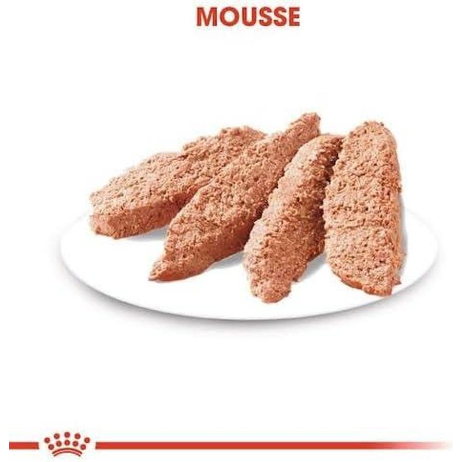 ROYAL CANIN Digestive Care Sauce 12x85g