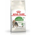 ROYAL CANIN Outdoor 7+ Croquettes Chat Adulte 7 Ans et Plus