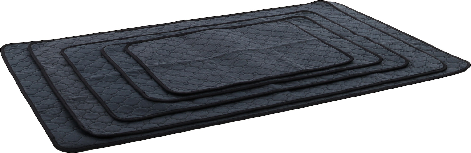 3x Tapis d'Entraînement Lavable Patsy Gris S 54x38cm