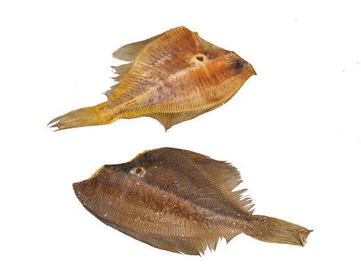 Plie de Poisson Séchée – Small (25 g)
