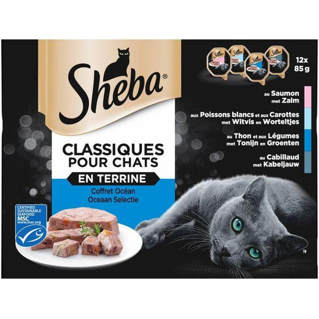 SHEBA Terrine Océan Thon et Fruits de Mer 12x85g