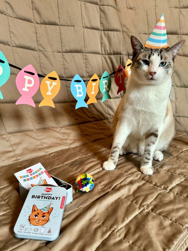 KIKKERLAND Kiko Cat Happy Birthday Kit Kit Anniversaire Chat