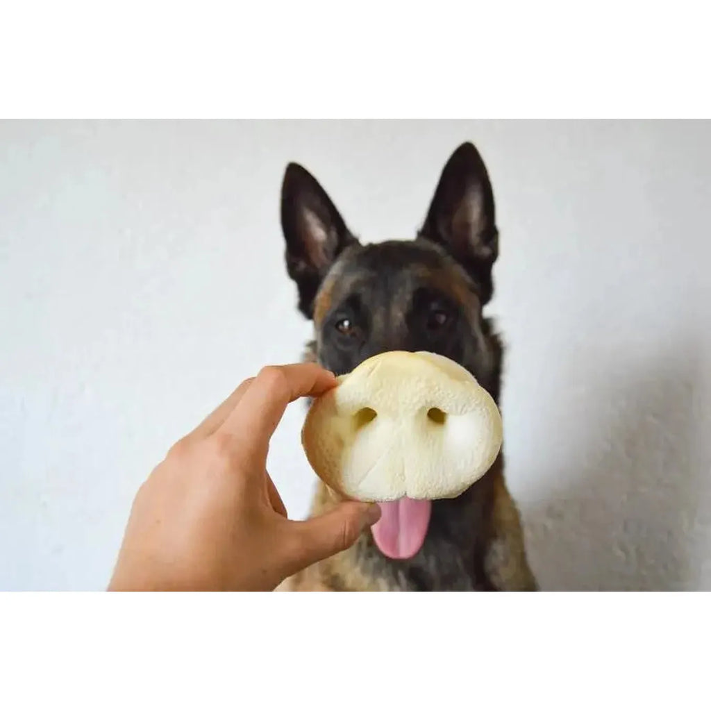 Nez de Cochon Soufflé – Friandise légère (1 pc)