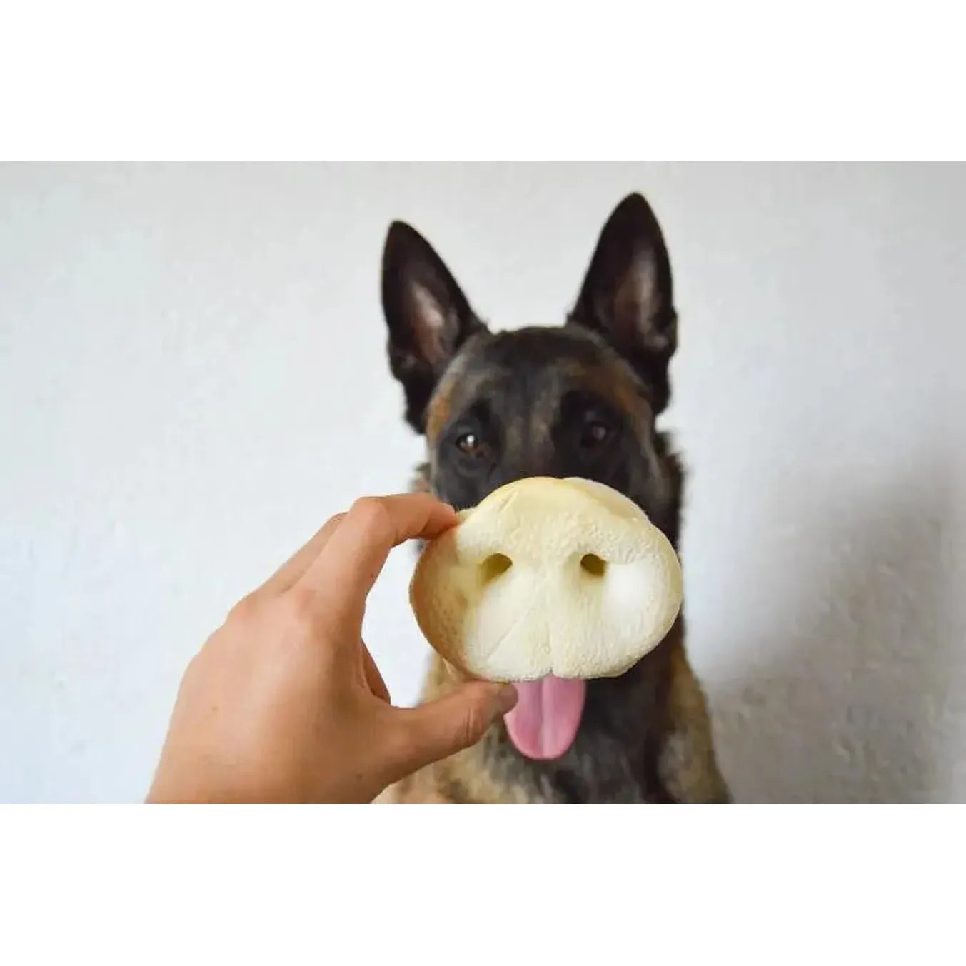 Nez de Cochon Soufflé – Friandise légère (1 pc)