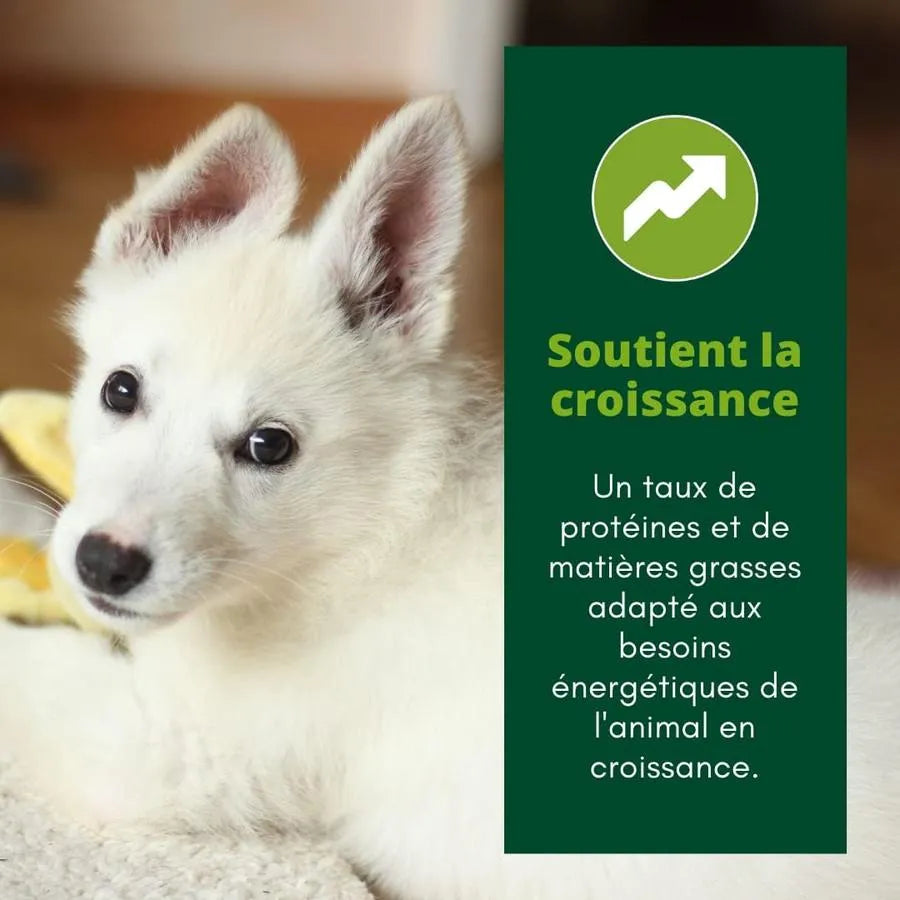 EQUILIBRE & INSTINCT Terrine pour jeune chien riche en volaille, carottes & lait 150g