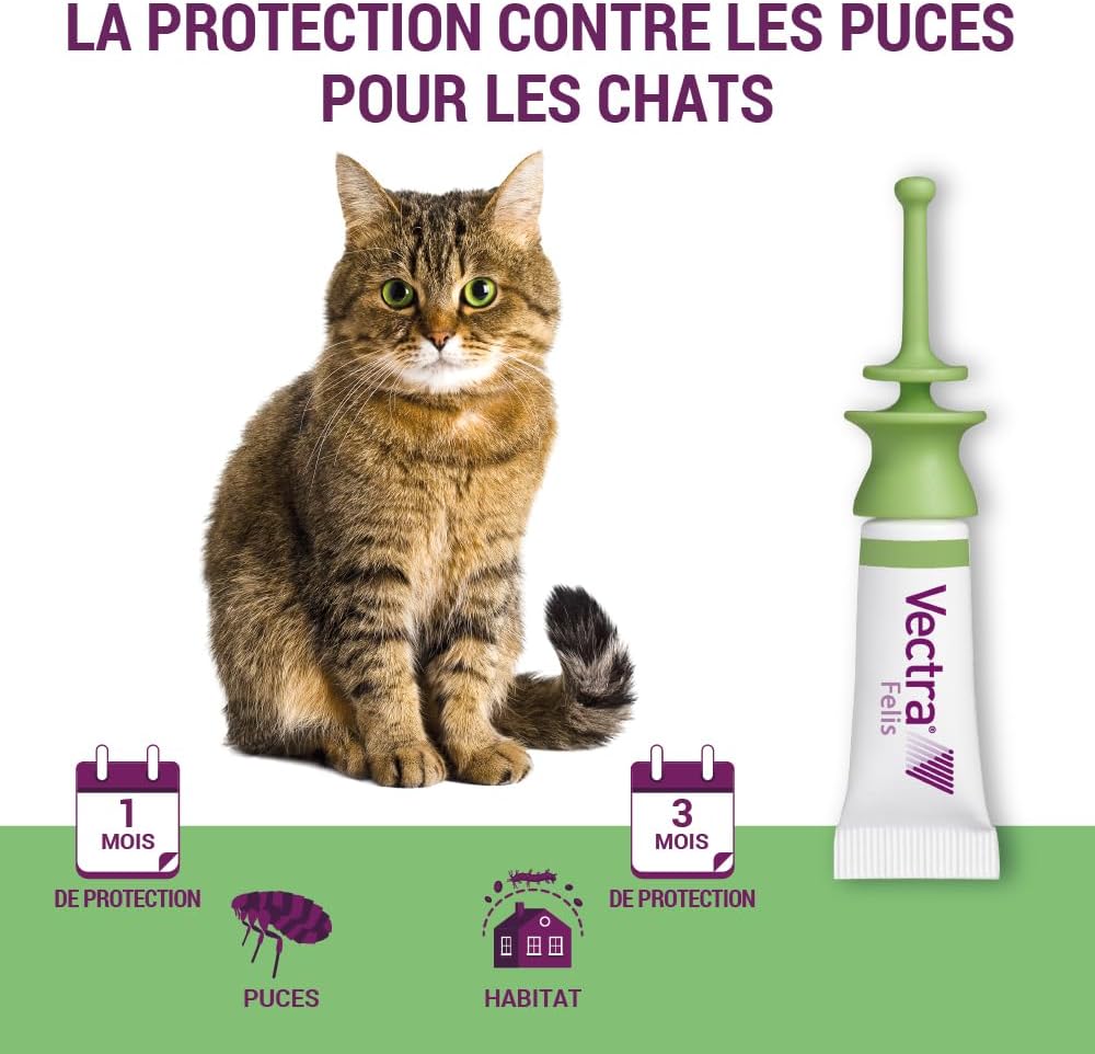VECTRA Felis Solution Spot-on pour Chats 3 pipettes