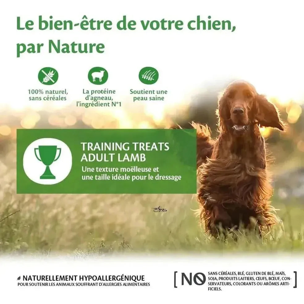 Training Treats – Agneau & Pommes (170 g)