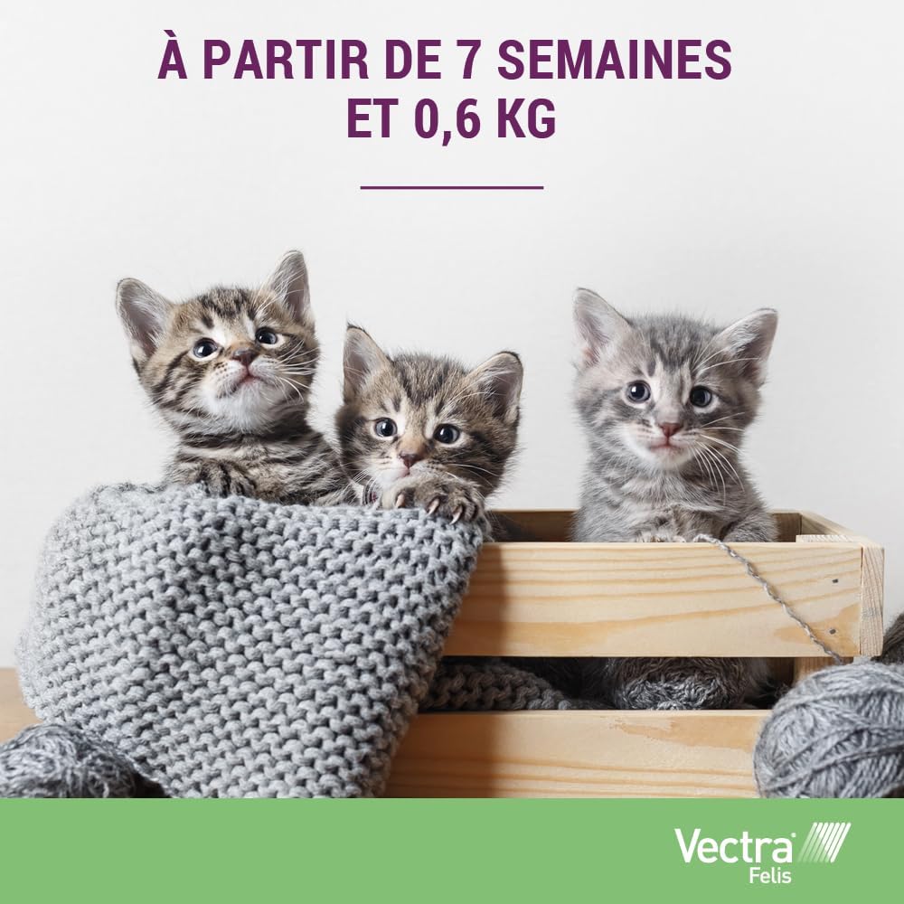 VECTRA Felis Solution Spot-on pour Chats 3 pipettes