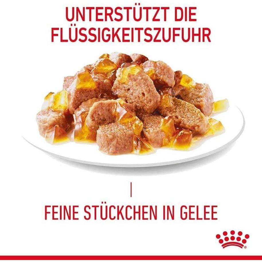 ROYAL CANIN Urinary Care Gelée 12x85g