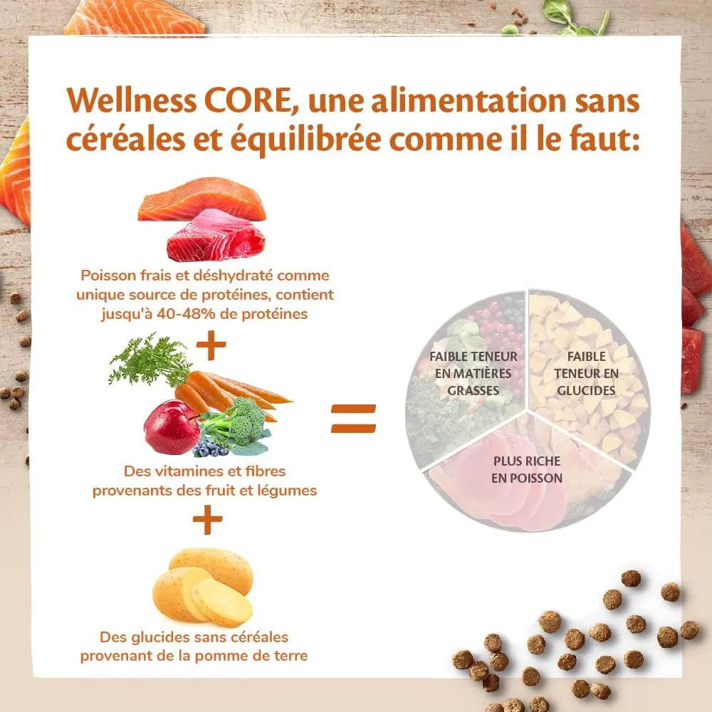 WELLNESS CORE Chat Croquettes Ocean Saumon & Thon