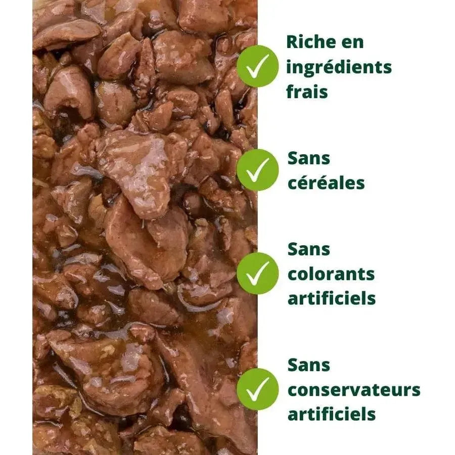 EQUILIBRE & INSTINCT Effilés Sensation Chat Stérilisé Saumon Ananas Cranberries 12x85g