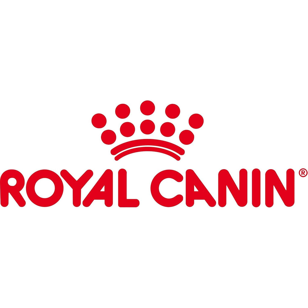 ROYAL CANIN Indoor Gelée 12x85g