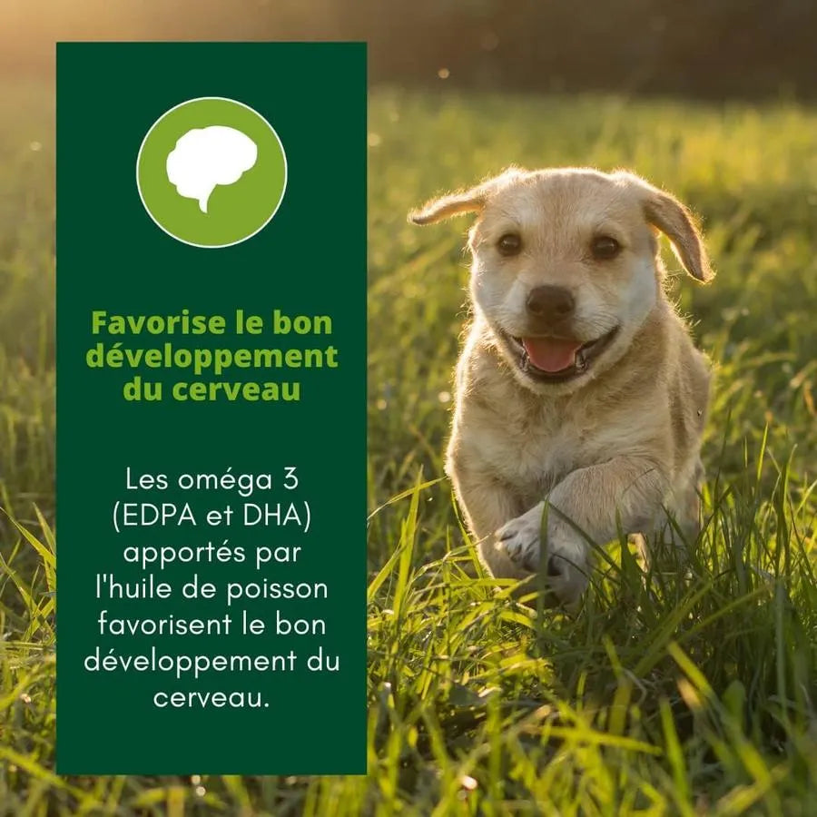 EQUILIBRE & INSTINCT Terrine pour jeune chien riche en volaille, carottes & lait 150g