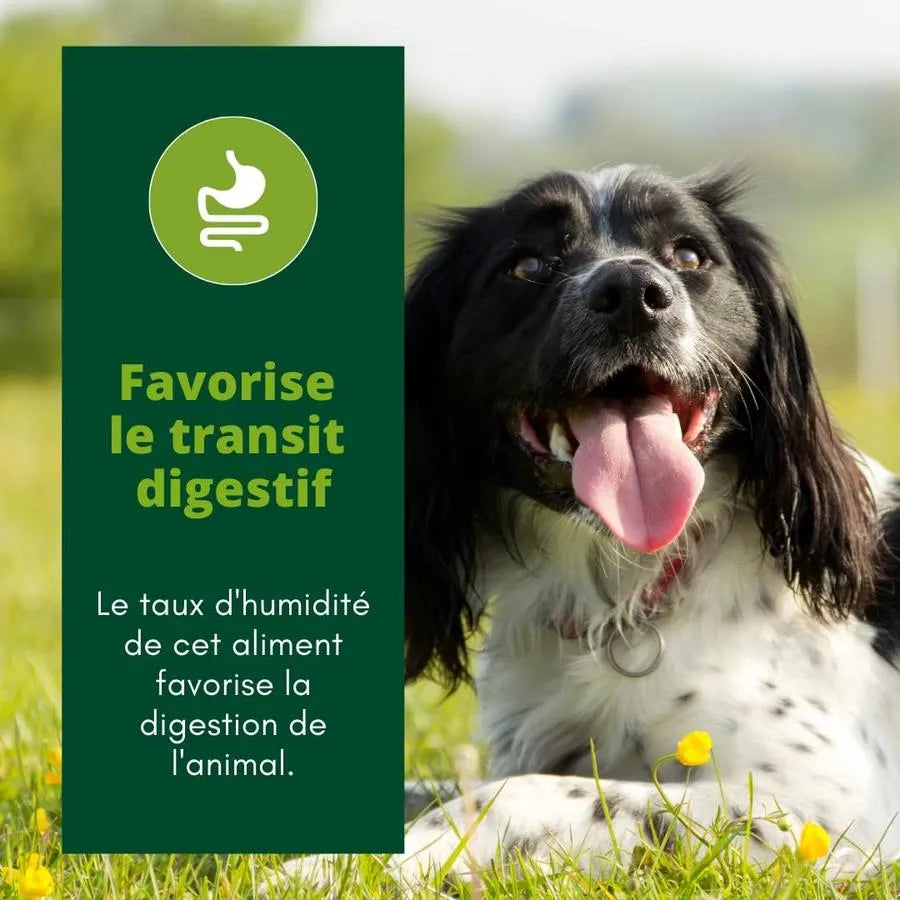 EQUILIBRE & INSTINCT Terrine pour chien adulte riche en bœuf & petit pois 300g