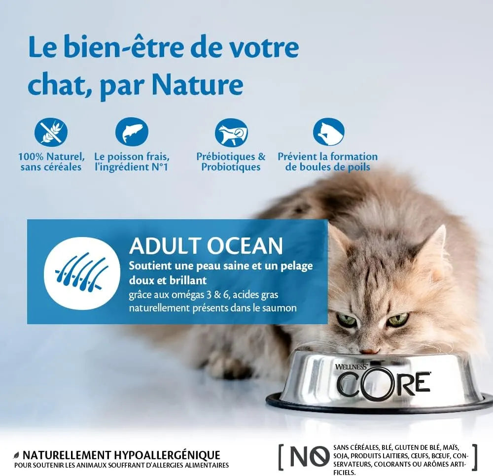 WELLNESS CORE Chat Croquettes Ocean Saumon & Thon
