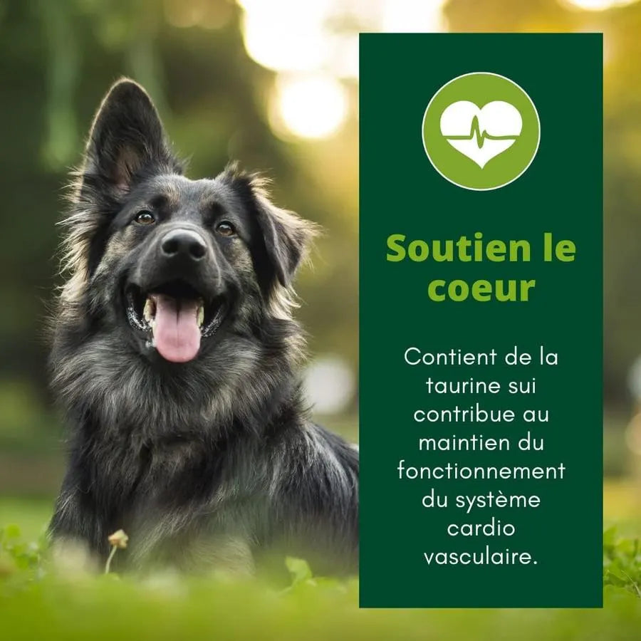 EQUILIBRE & INSTINCT Terrine pour chien adulte riche en bœuf & petit pois 300g
